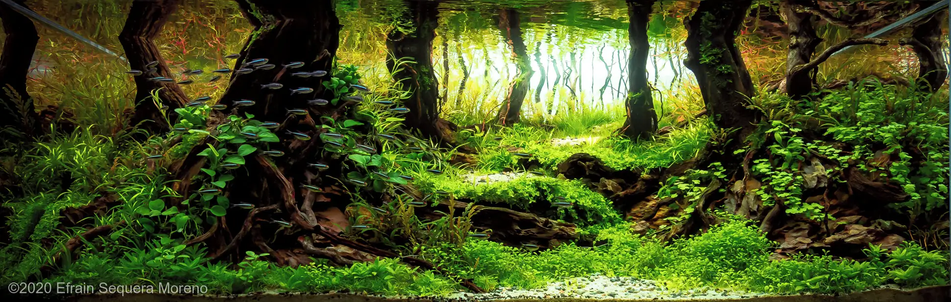 The Lasts Lights of Sunset